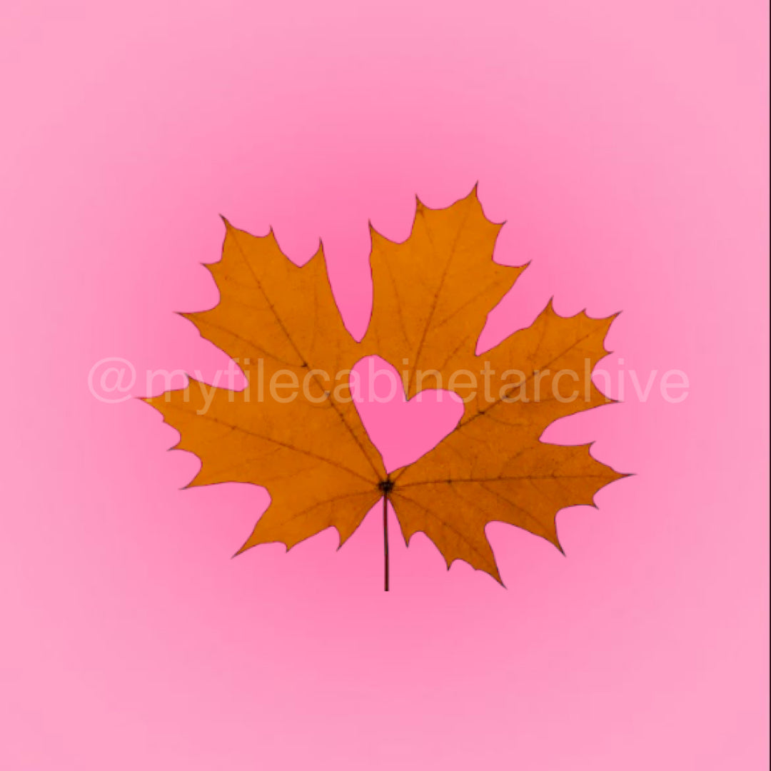 Heart Fall Leaf PNG